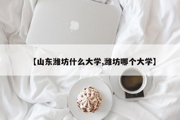 【山东潍坊什么大学,潍坊哪个大学】