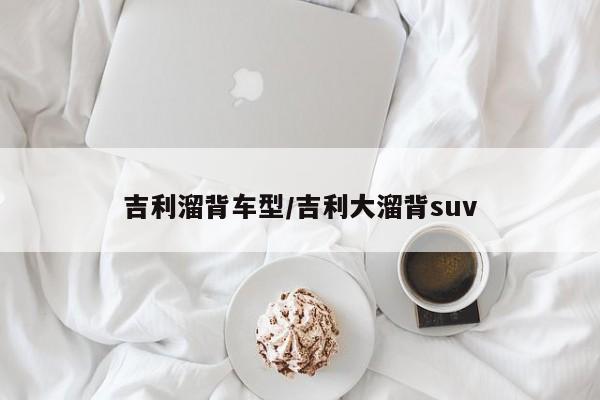 吉利溜背车型/吉利大溜背suv