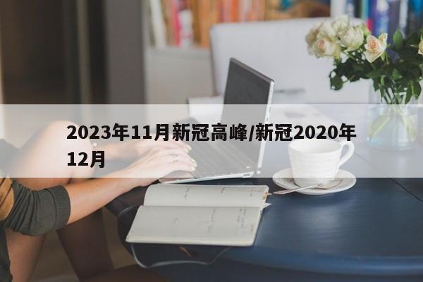 2023年11月新冠高峰/新冠2020年12月